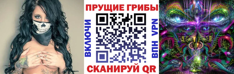 закладка Соль-Илецк Галлюциногенные грибы MAGIC MUSHROOMS